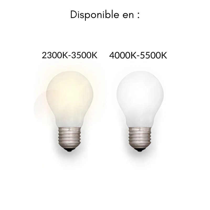 Image du produit 10